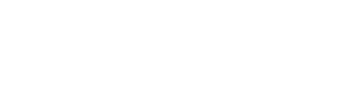 Bota Logo